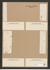 Nitzschia subtilis var. paleacea = tenuis f. paleacea (de-Toni-Nr.: Genus 47, Species 2150 ?) Zeichnungen Sammlung Grunow Nr. 4449 (NHMW-BOT-W0372384)
